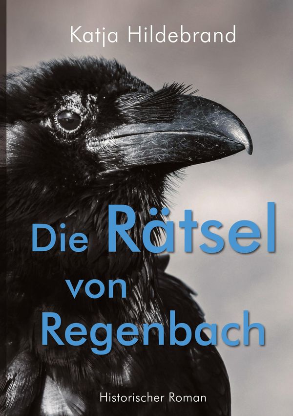 Die Rätsel von Regenbach - Katja Hildebrand (Buch)
