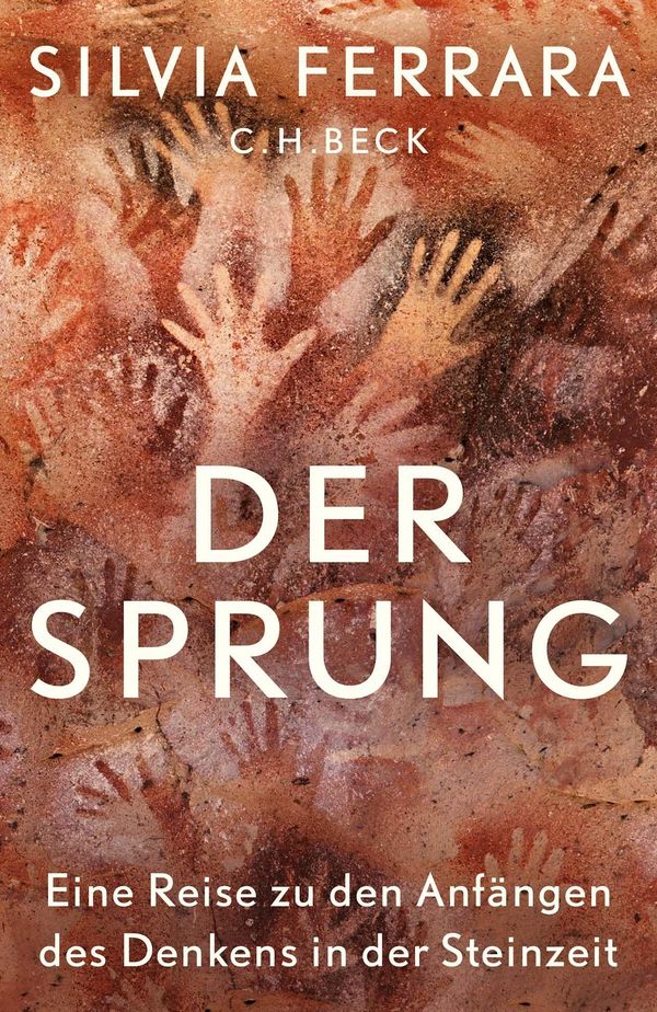 Der Sprung - Silvia Ferrara (Buch)