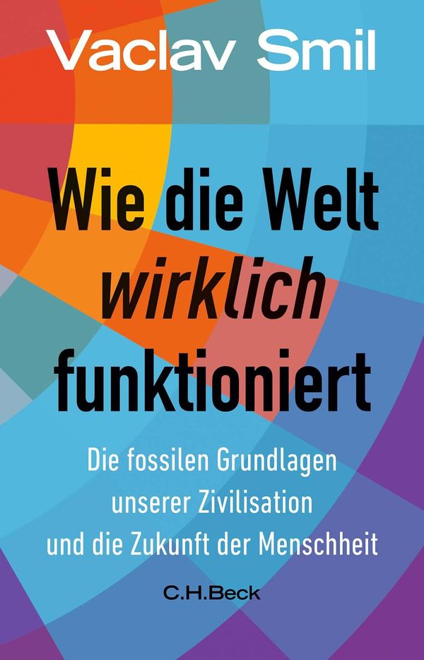 Wie die Welt wirklich funktioniert - Vaclav Smil (Buch)
