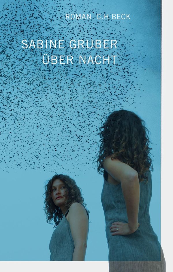 Über Nacht - Sabine Gruber (Buch)