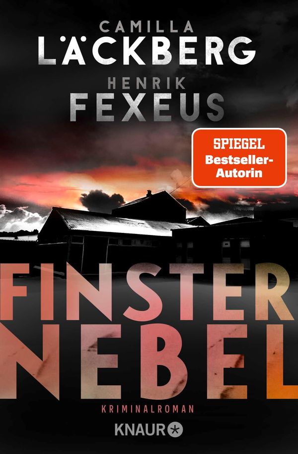 Finsternebel - Camilla Läckberg (Buch)