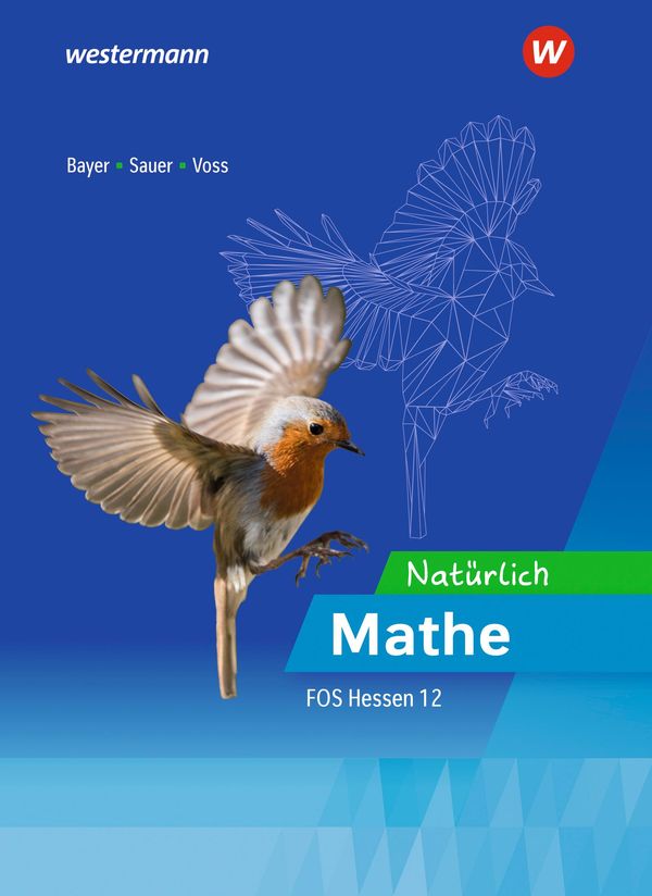 Natürlich Mathe - Mathematik für die Fachoberschulen in Hessen (Buch)