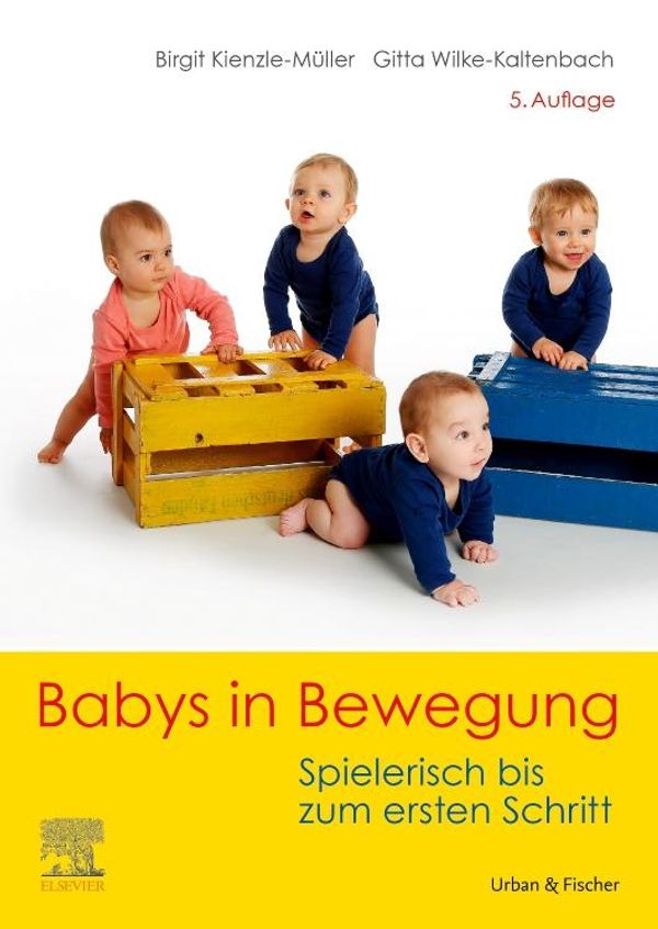 Babys in Bewegung - Birgit Kienzle-Müller (Buch)