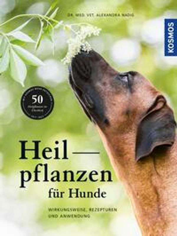 Heilpflanzen für Hunde - Alexandra Nadig (Buch)
