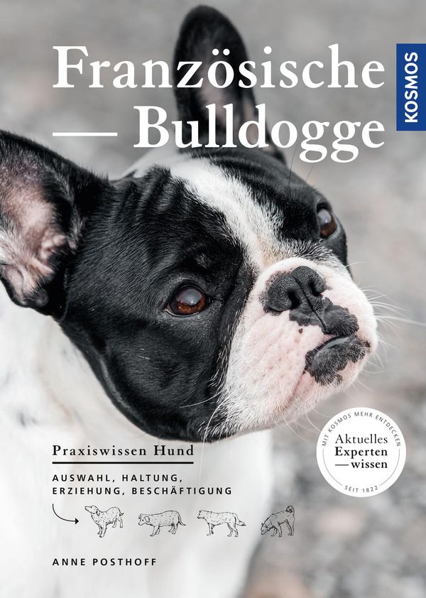 Französische Bulldogge - Anne Posthoff (Buch)