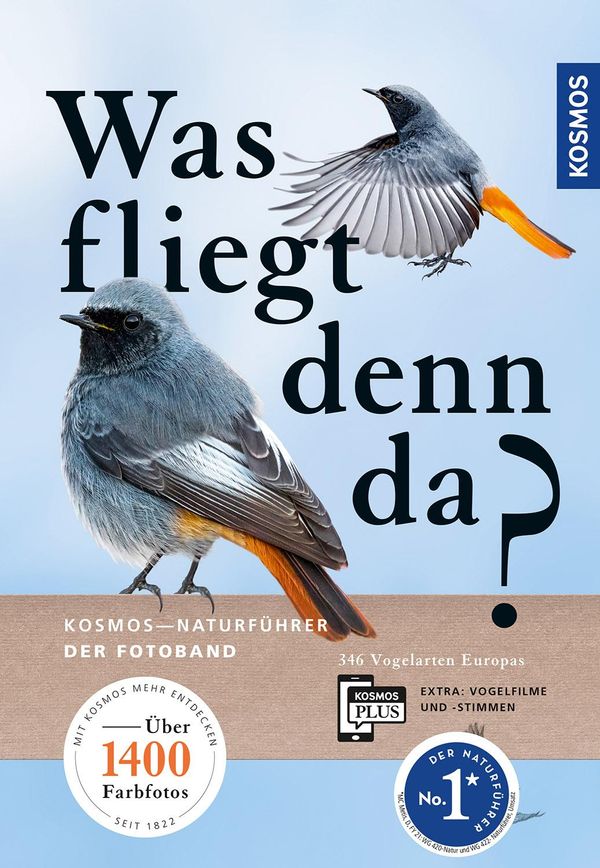 Was fliegt denn da? Der Fotoband - Detlef Singer (Buch)