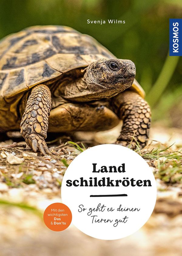 Landschildkröten - Svenja Wilms (Buch)
