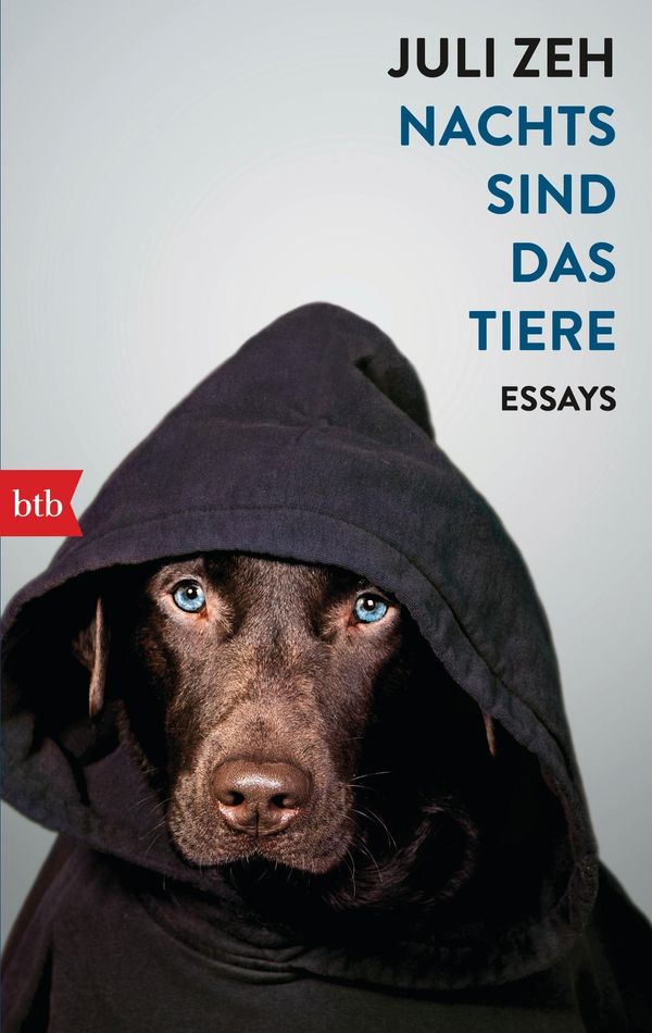 Nachts sind das Tiere - Juli Zeh (Buch)