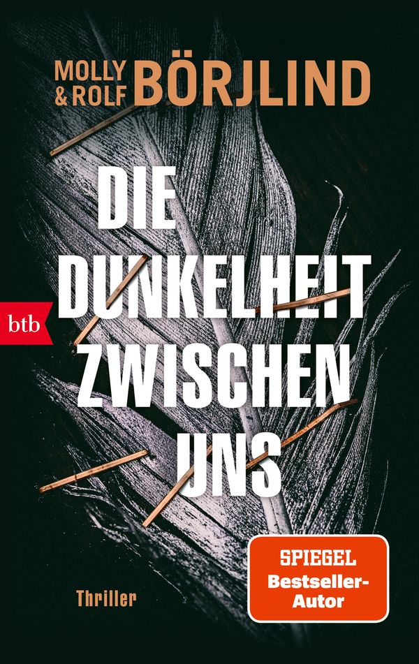 Die Dunkelheit zwischen uns - Molly Börjlind (Buch)