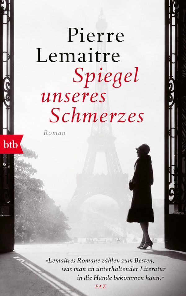 Spiegel unseres Schmerzes - Pierre Lemaitre (Buch)