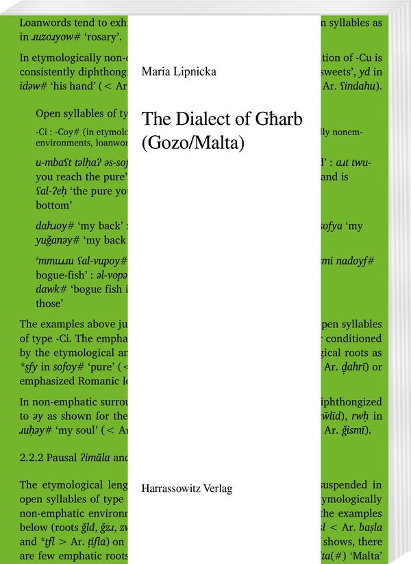 The Dialect of Gharb (Gozo/Malta) - Maria Lipnicka (Buch)