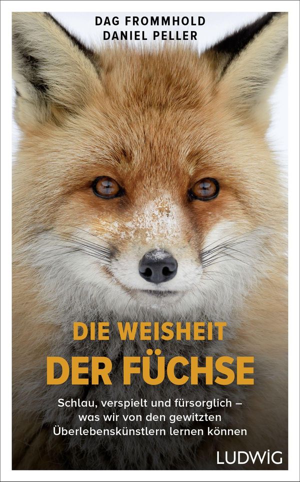 Die Weisheit der Füchse - Dag Frommhold (Buch)