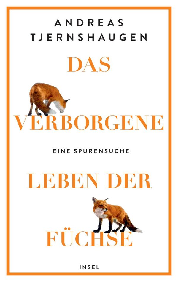 Das verborgene Leben der Füchse - Andreas Tjernshaugen (Buch)