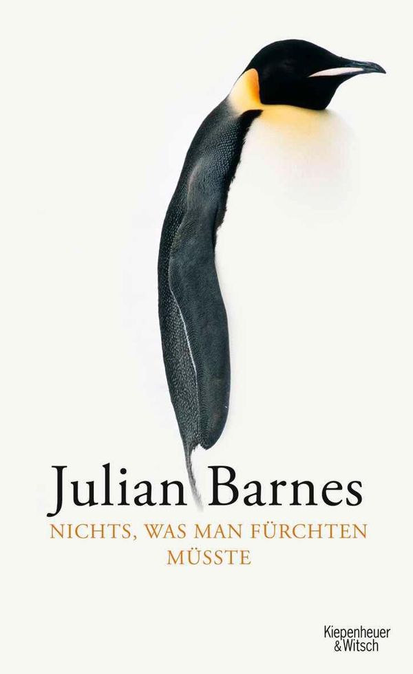 Nichts, was man fürchten müsste - Julian Barnes (Buch)