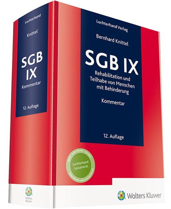 SGB IX Kommentar (Buch)