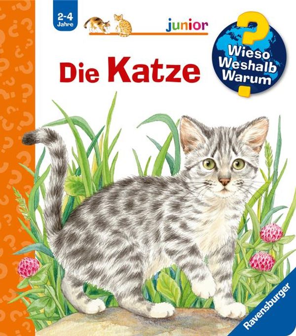 Wieso? Weshalb? Warum? junior, Band 21: Die Katze - Patricia Mennen