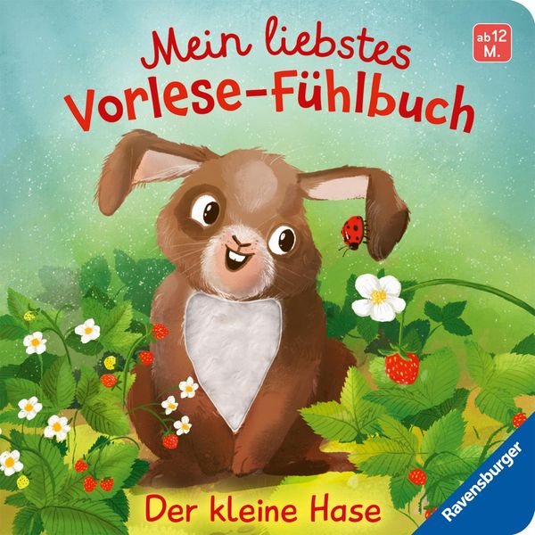 Mein liebstes Vorlese-Fühlbuch - Der kleine Hase - Maria Höck (Buch)