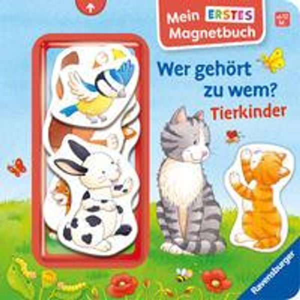 Mein erstes Magnetbuch - Wer gehört zu wem? Tierkinder - Sandra Grimm