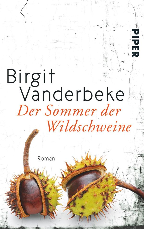 Der Sommer der Wildschweine - Birgit Vanderbeke (Buch)