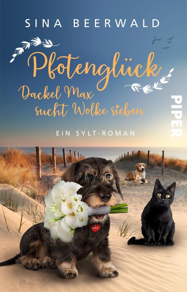 Pfotenglück - Dackel Max sucht Wolke sieben - Sina Beerwald (Buch)