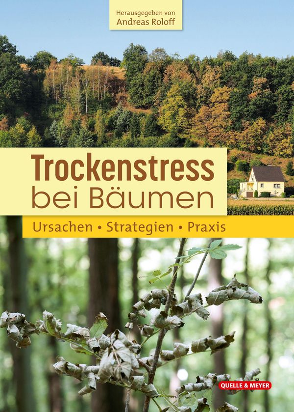 Trockenstress bei Bäumen (Buch)