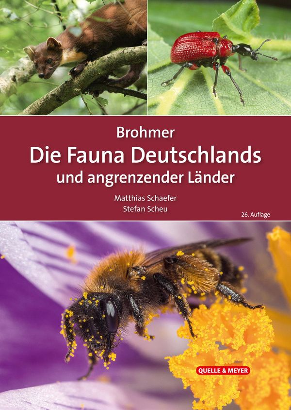 Brohmer - Die Fauna Deutschlands und angrenzender Länder (Buch)