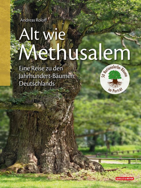 Alt wie Methusalem - Eine Reise zu den Jahrhundert-Bäumen Deutschla...