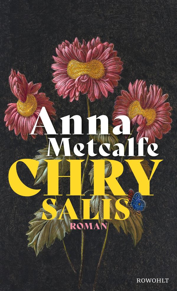 Chrysalis - Anna Metcalfe (Buch)