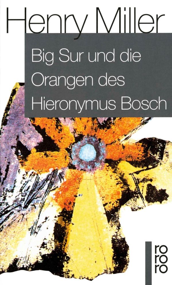 Big Sur und die Orangen des Hieronymus Bosch - Henry Miller (Buch)