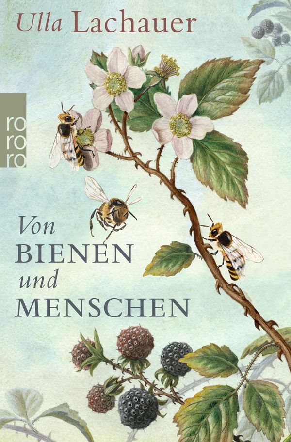 Von Bienen und Menschen - Ulla Lachauer (Buch)