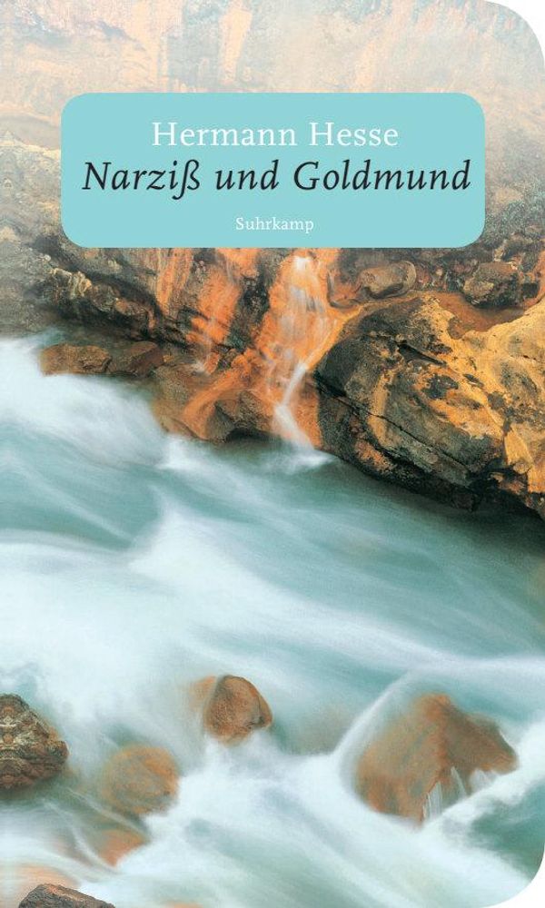 Narziß und Goldmund - Hermann Hesse (Buch)