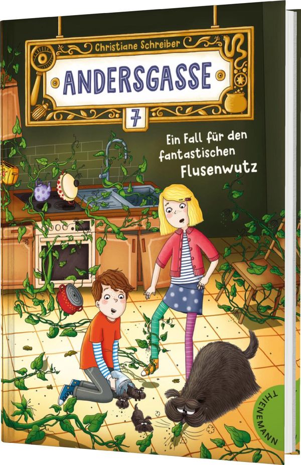 Andersgasse 7 1: Ein Fall für den fantastischen Flusenwutz (Buch)