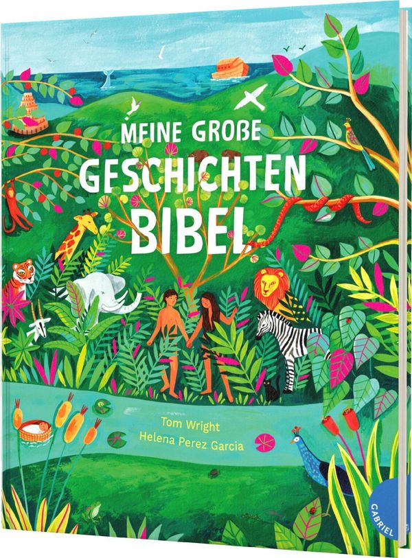 Meine große Geschichten-Bibel - Tom Wright (Buch)