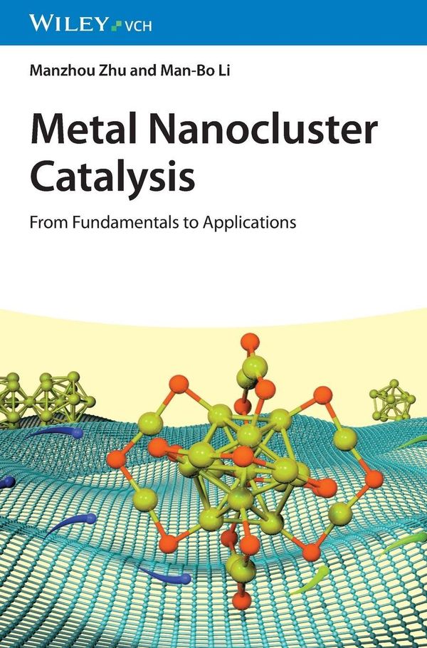 Metal Nanocluster Catalysis - Manzhou Zhu (Buch)