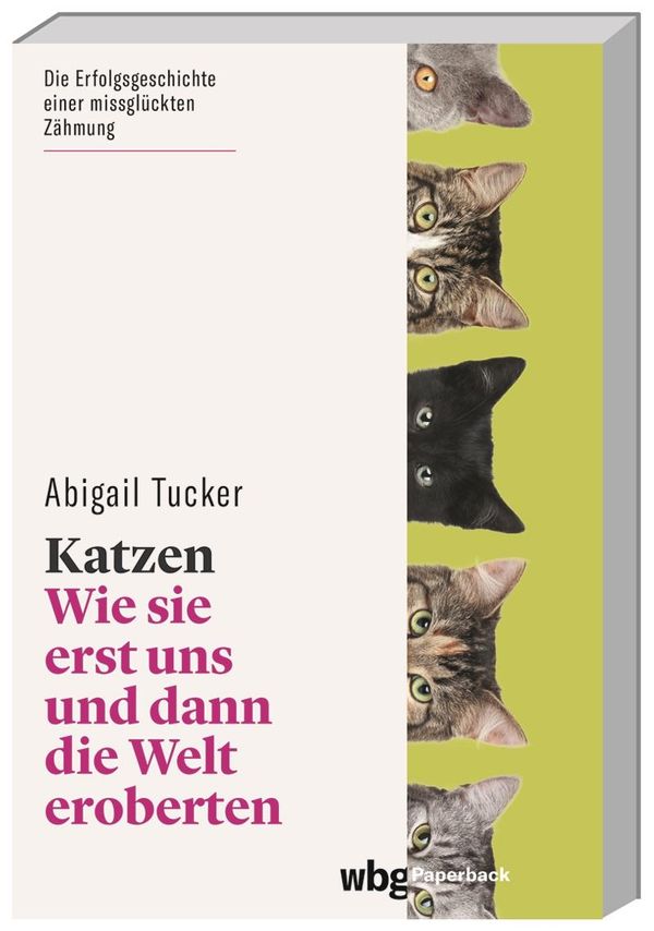 Katzen - Abigail Tucker (Buch)