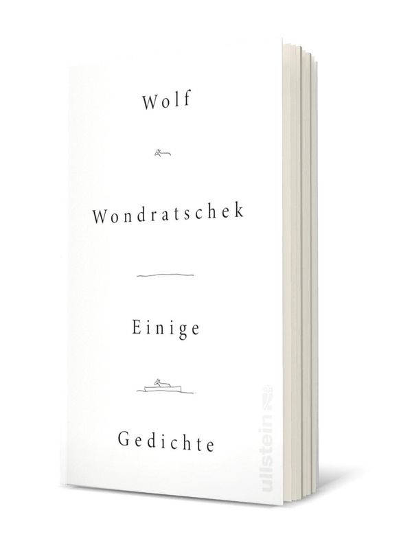 Einige Gedichte - Wolf Wondratschek (Buch)