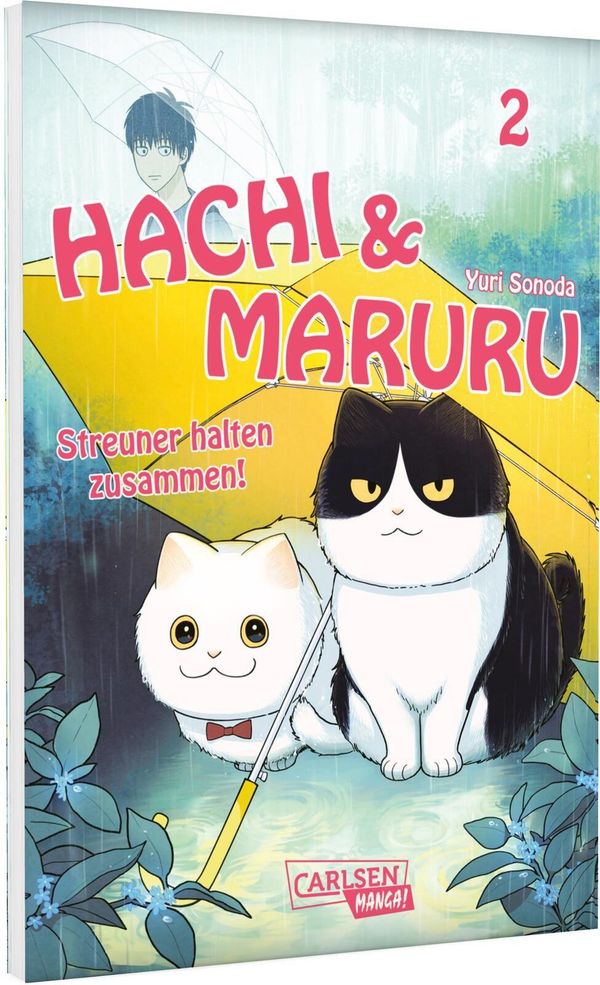 Hachi & Maruru - Streuner halten zusammen! 2 - Yuri Sonoda (Buch)