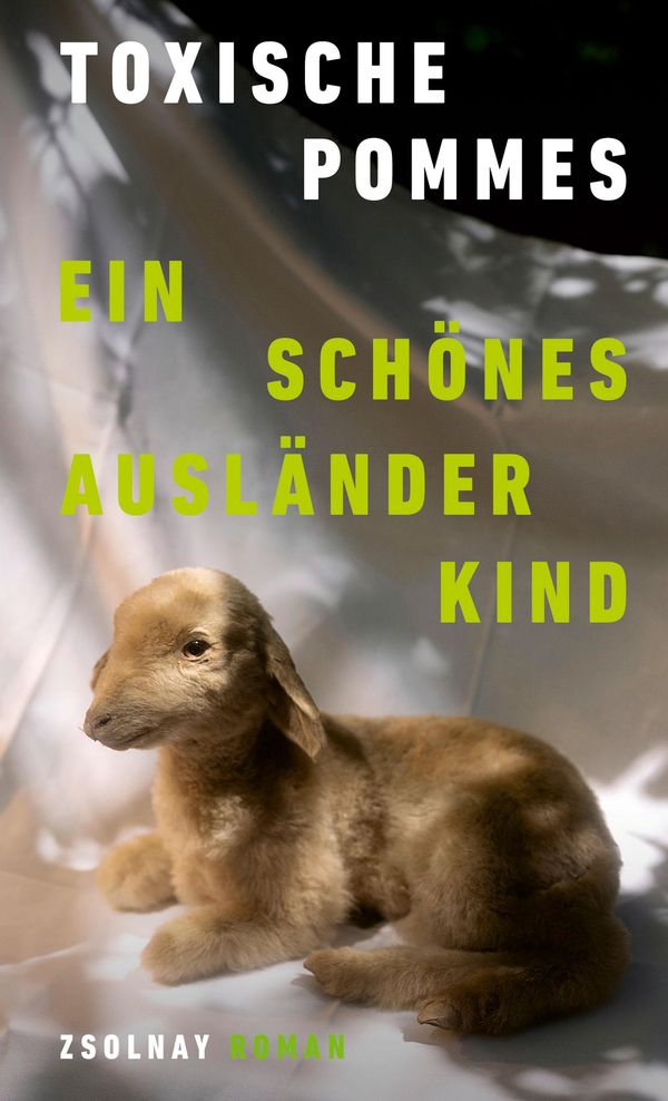 Ein schönes Ausländerkind - Toxische Pommes (Buch)