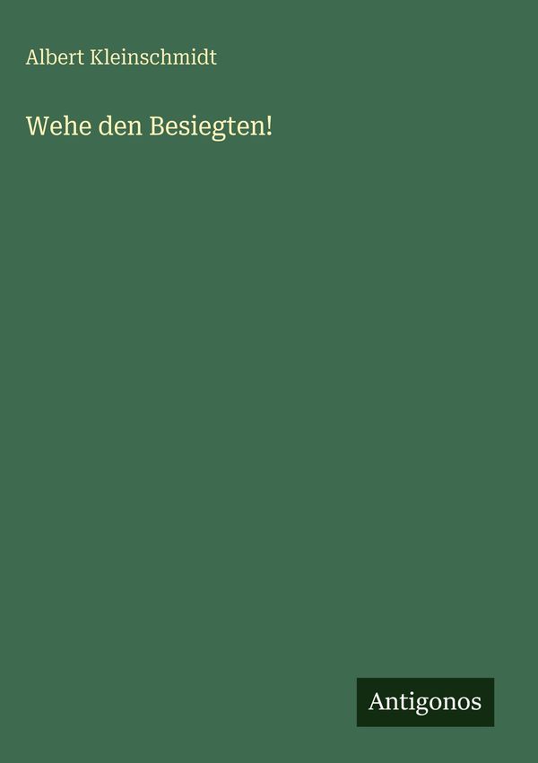 Wehe den Besiegten! - Albert Kleinschmidt (Buch)
