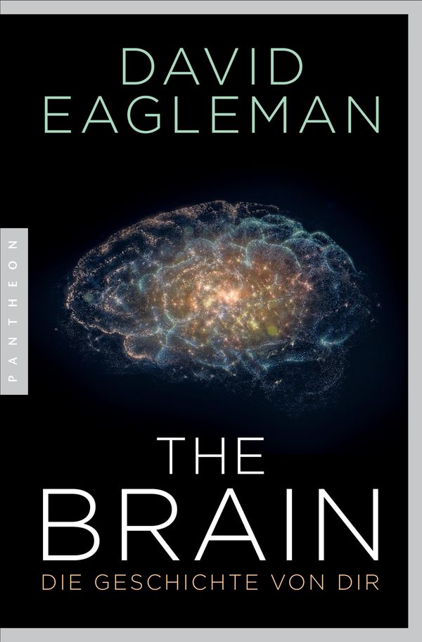 The Brain - David Eagleman (Buch)