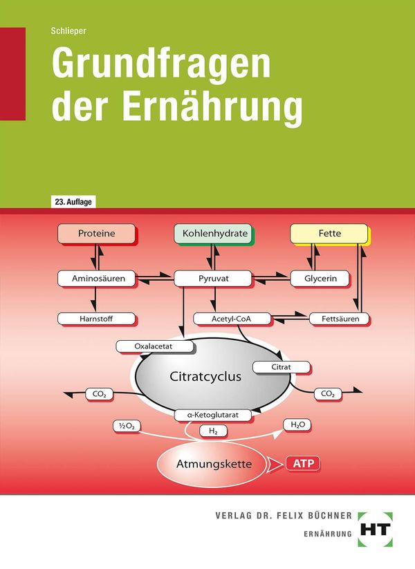 Grundfragen der Ernährung - Cornelia A. Schlieper (Buch)