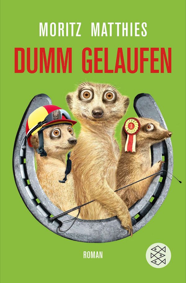 Dumm gelaufen - Moritz Matthies (Buch)