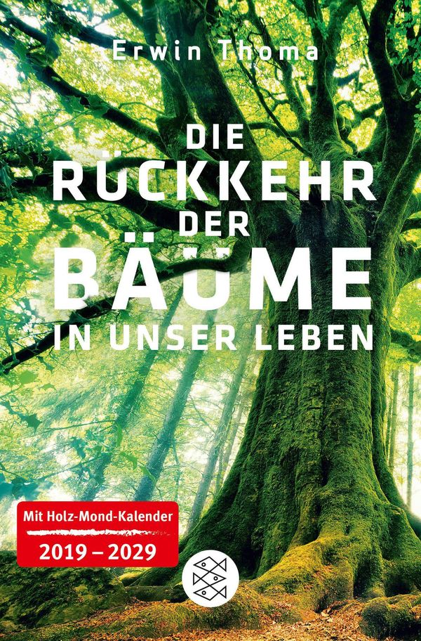 Die Rückkehr der Bäume in unser Leben - Erwin Thoma (Buch)