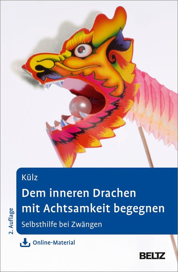 Dem inneren Drachen mit Achtsamkeit begegnen - Anne Külz (Buch)
