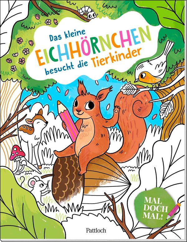 Mal doch mal! - Das kleine Eichhörnchen besucht die Tierkinder (Buch)