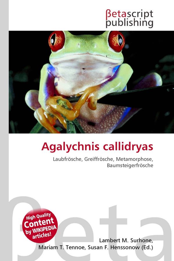 Agalychnis callidryas (Buch)