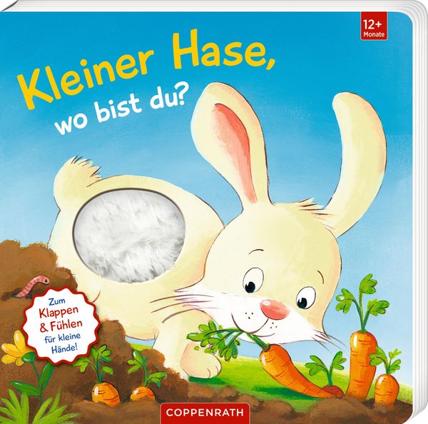 Mein erstes Guckloch-Fühlbuch: Kleiner Hase, wo bist du? (Buch)