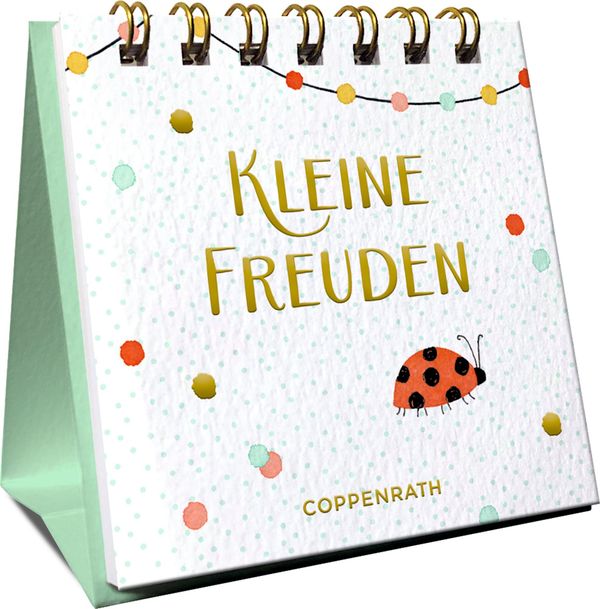 Kleine Freuden (Buch)