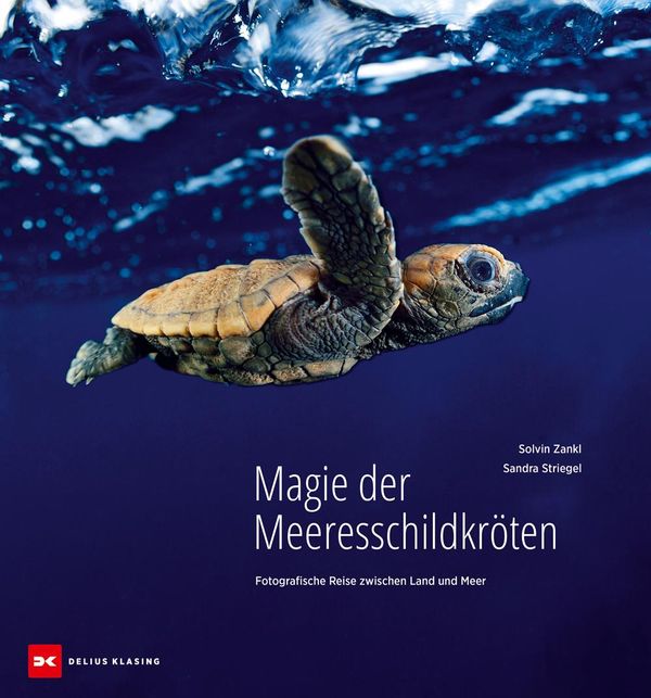 Magie der Meeresschildkröten - Sandra Striegel (Buch)