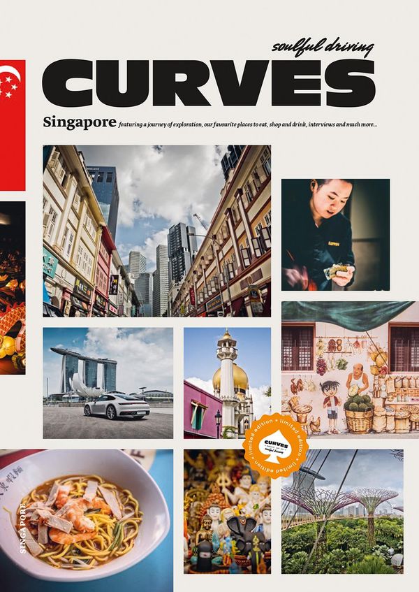 CURVES Singapore - Stefan Bogner (Buch)